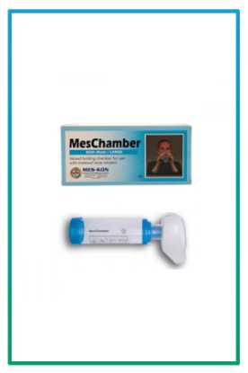 صورة ميس شامبر حجم متعدد M/L